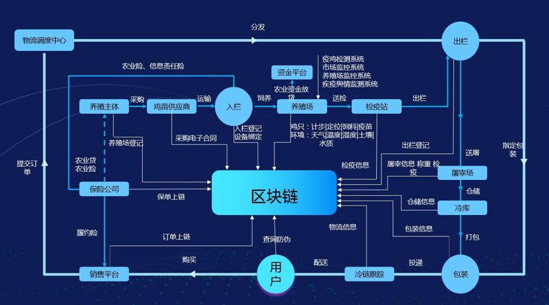 数字货币系统的未来展望与应用场景分析